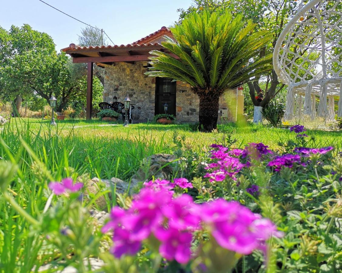 Patras Stonehouse With Large Yard - Πέτρινο Σπίτι Με Αυλή Villa Paralia  Luaran gambar